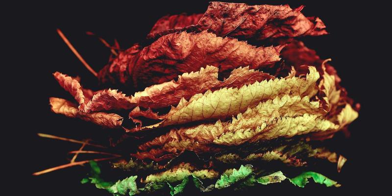 TSN:工业自动化的“时间守护者”——从运维与开发视角解析其价值与部署挑战