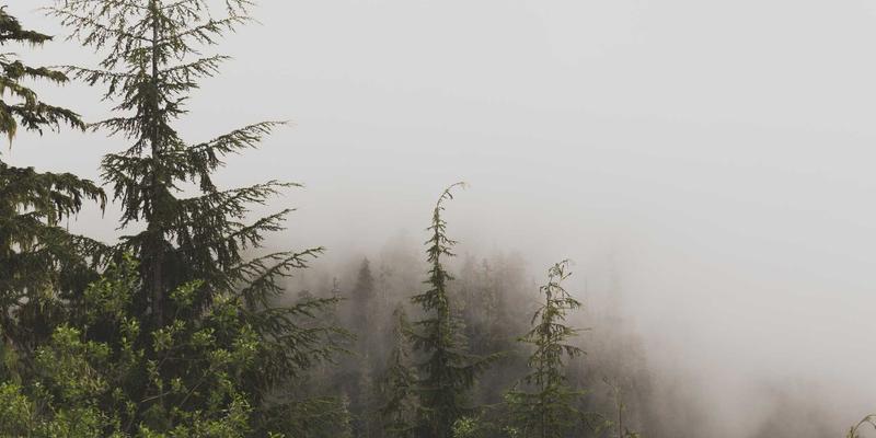 从编程开发到实战部署：深度解析MEC在车联网中的关键技术栈与资源分享